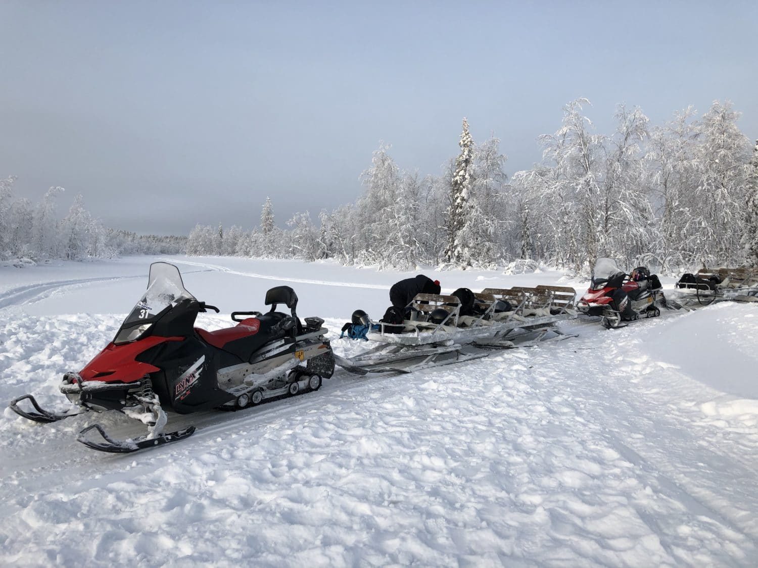 Extreme BBQ in der Wildnis von Lappland - Lappland 087 e1517254518440 - 67 Extreme BBQ in der Wildnis von Lappland - Lappland 087 e1517254518440 - 66