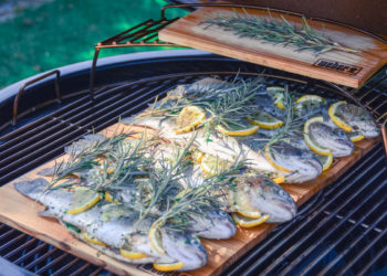Gegrillte Regenbogenforelle von der Holzplanke - lachsforelle grillen 15 - 12 Gegrillte Regenbogenforelle von der Holzplanke - lachsforelle grillen 15 - 11