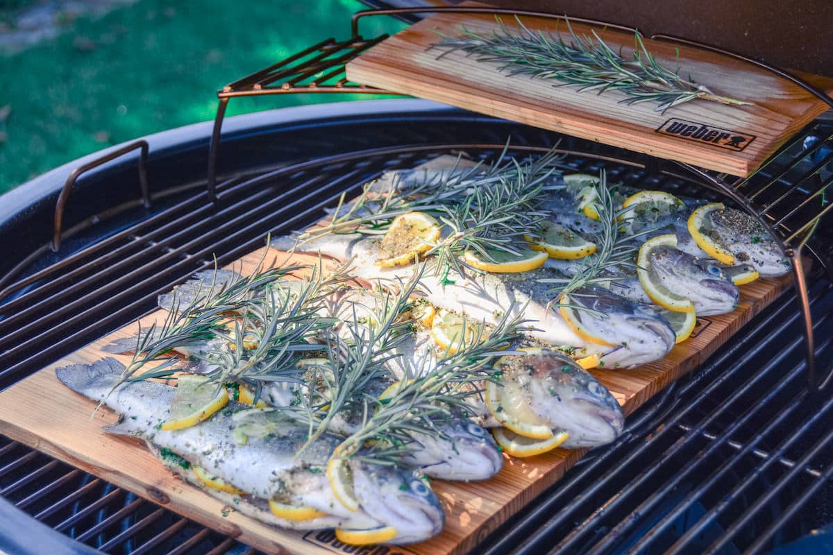 Gegrillte Regenbogenforelle von der Holzplanke - lachsforelle grillen 15 - 28