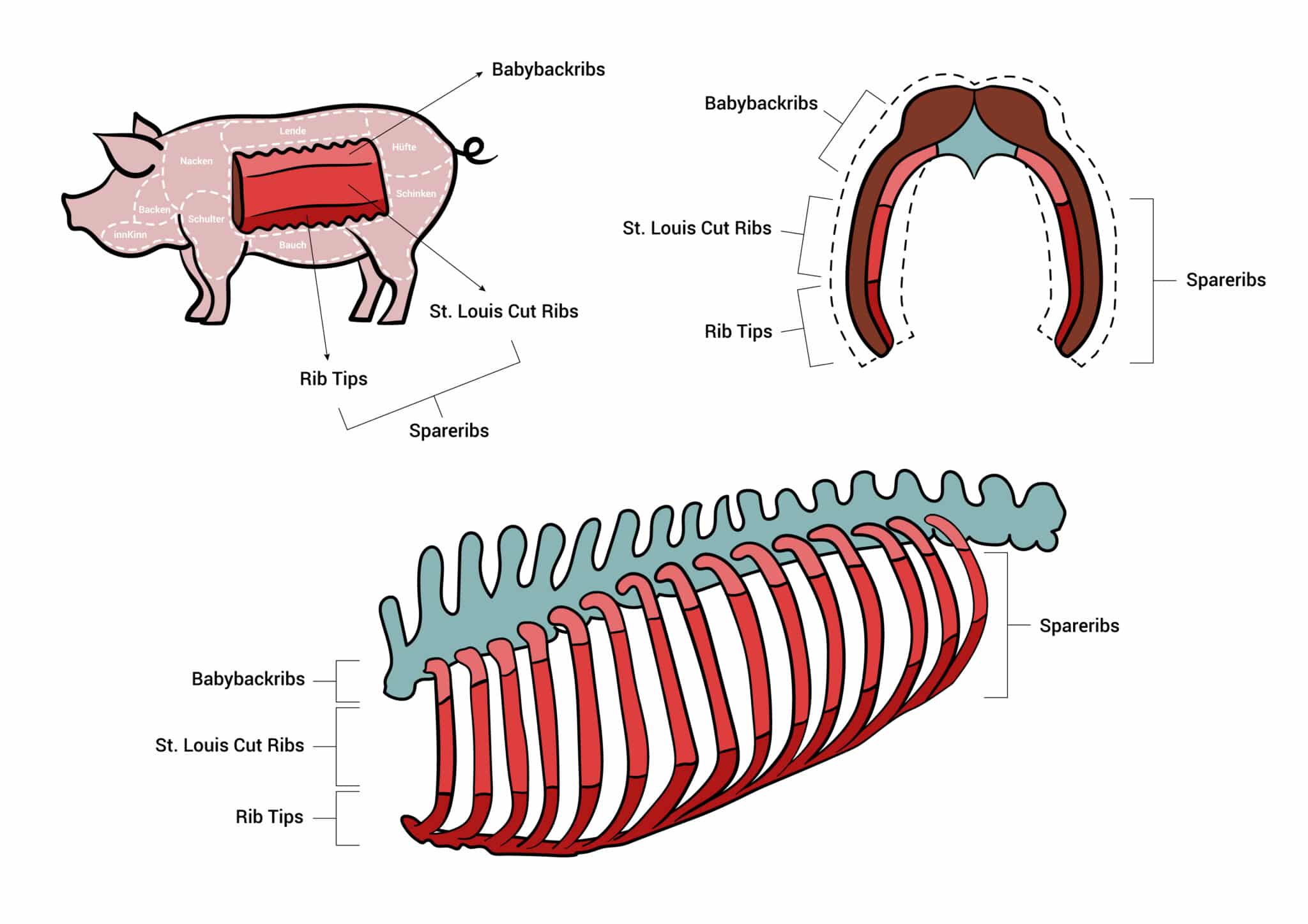 Der ultimative Ribs Guide - Alles was du über Rippchen wissen musst - Illustration Ribs guide aufgetischt scaled - 3 Arten und Cuts von Ribs / Ripperl vom Schwein - Illustration