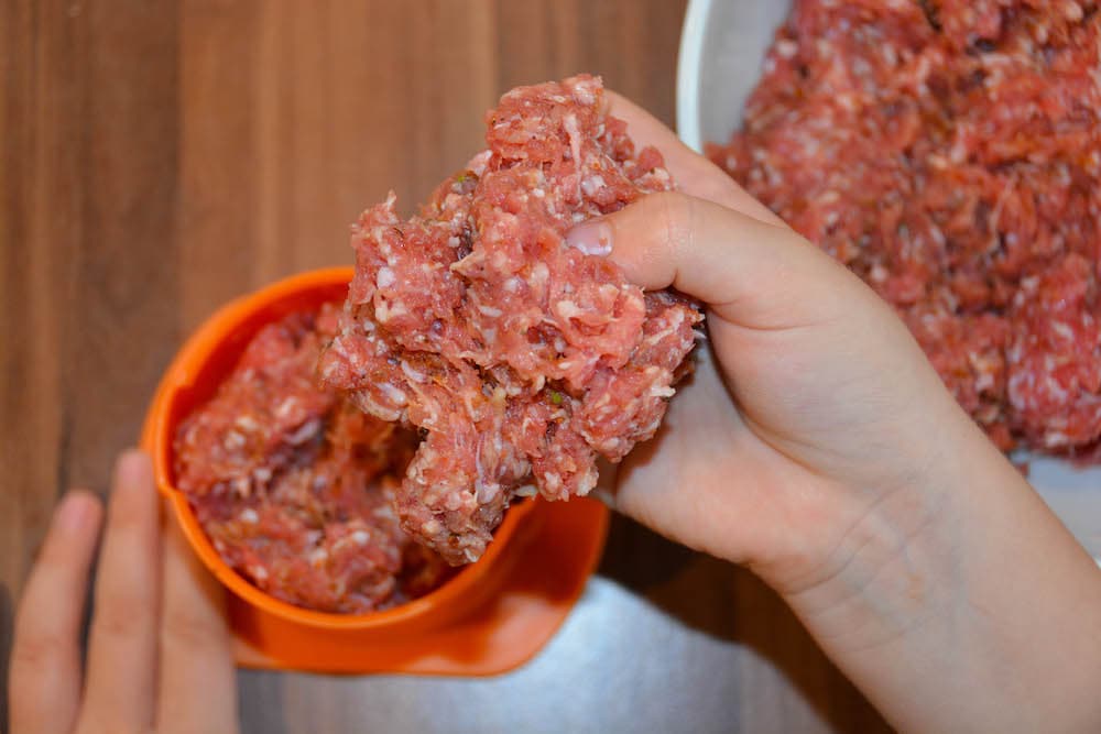 Original Cevapcici Rezept vom Grill - cevapcici vom grill 08 - 13 Fleischmasse für die Cevapcici in den Cevapomaker füllen