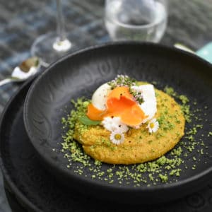 Wildkräuter Polenta mit pochiertem Ei - wildkraeuter polenta ei 04 1 - 11 Wildkräuter Polenta mit pochiertem Ei - wildkraeuter polenta ei 04 1 - 10