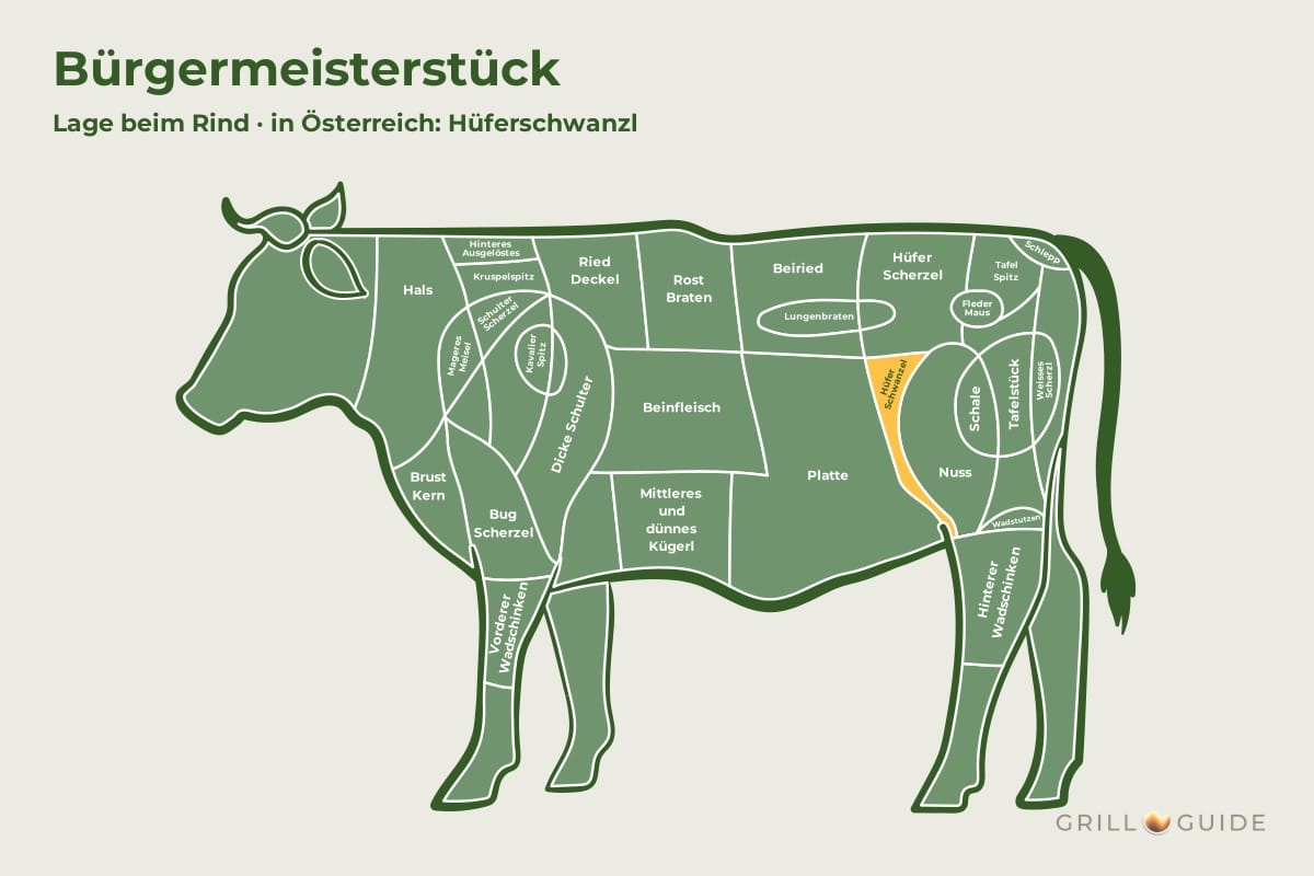 Bürgermeisterstück (Hüferschwanzl / Tri-Tip) - fleischteile rind buergermeisterstueck - 2 Lage des Bürgermeisterstücks beim Rind: Das Feld Hüferschwanzel zwischen Hüfte und Nuss ist orange markiert