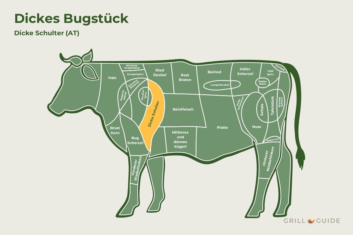 Dickes Bugstück (Dicke Schulter) - fleischteile rind bugstueck - 2 Lage des Dicken Bugstücks beim Rind: Das Feld Dicke Schulter ist gelb markiert (schematisch)