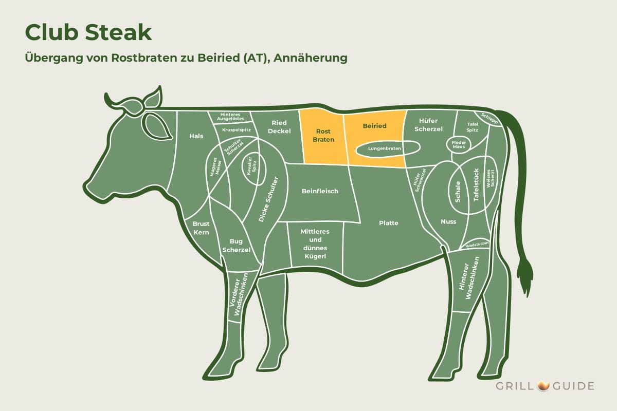Club Steak (Roastbeef mit Knochen) - fleischteile rind club steak - 2 Lage des Club Steaks beim Rind: Die Felder Rostbraten und Beiried sind gelb markiert, das Steak sitzt am Übergang (schematisch)