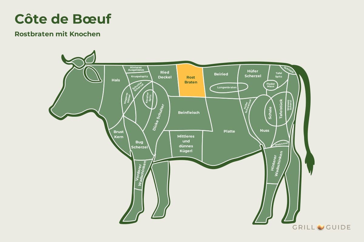 Côte de Boeuf (Rinderkotelett / Hochrippe mit Knochen) - fleischteile rind cote de boeuf - 2 Lage der Côte de Boeuf beim Rind: Das Feld Rostbraten (Hochrippe) im Vorderviertel ist gelb markiert