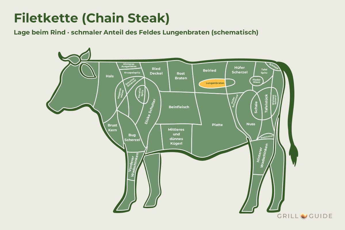 Filetkette (Chain Steak) - fleischteile rind filetkette - 2 Lage der Filetkette beim Rind: Ein schmaler Anteil des Feldes Lungenbraten im Hinterviertel ist gelb markiert (schematisch)