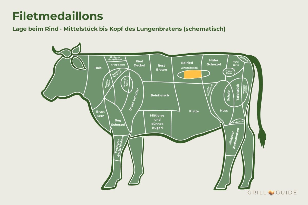 Filetmedaillons (Rindermedaillons) - fleischteile rind filetmedaillons - 2 Lage der Filetmedaillons beim Rind: Das Feld Lungenbraten im Hinterviertel ist gelb markiert, der dickere Teil ist hervorgehoben (schematisch)
