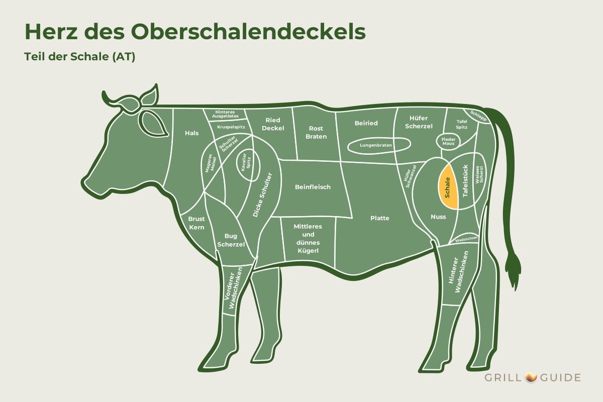 Herz des Oberschalendeckels - fleischteile rind herz des oberschalendeckels 1 - 2 Lage des Herzens des Oberschalendeckels beim Rind: Das Feld Schale in der Keule ist gelb markiert (schematisch)
