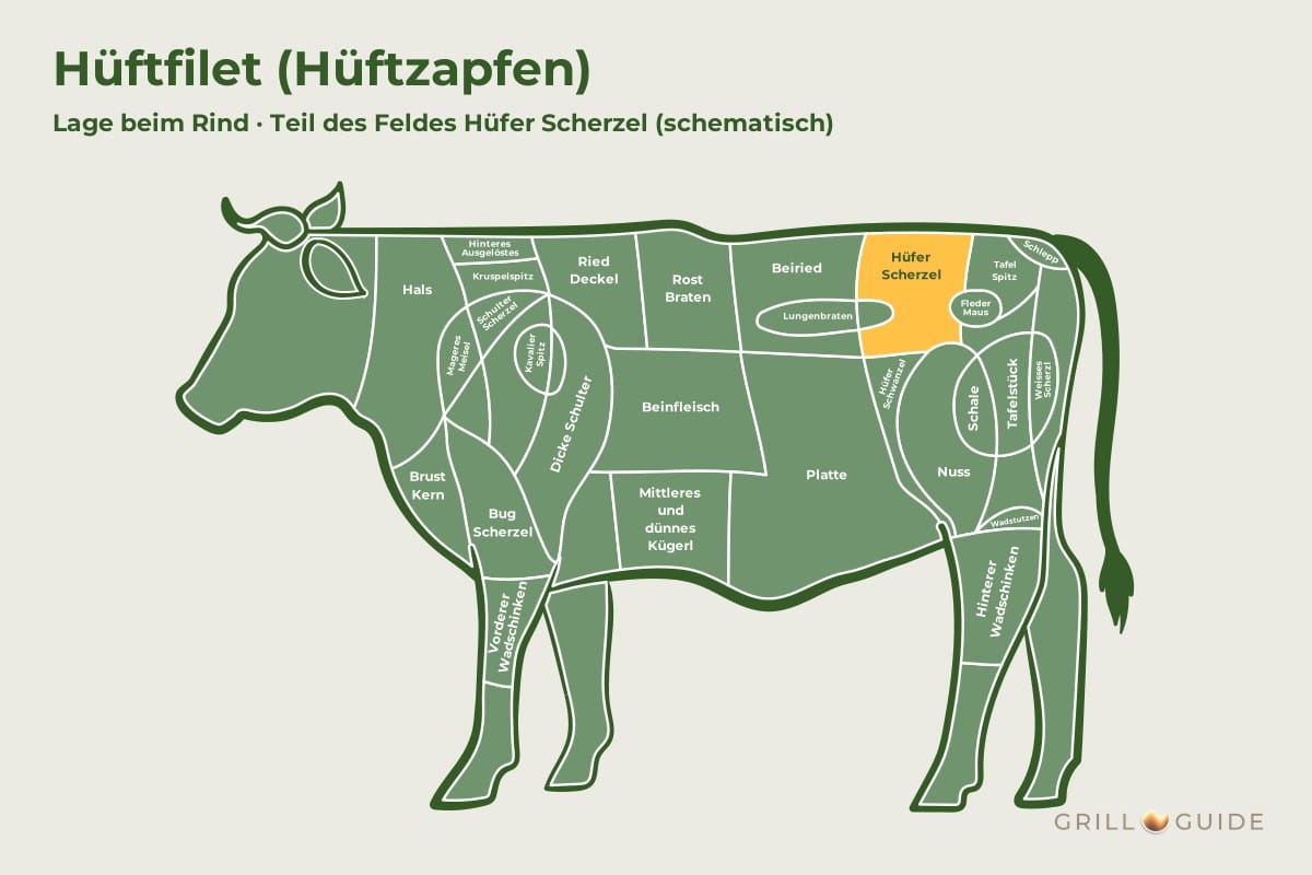 Hüftfilet (Hüftzapfen) - fleischteile rind hueftfilet - 2 Lage des Hüftfilets beim Rind: Das Feld Hüfer Scherzel im Hinterviertel ist gelb markiert, das Hüftfilet ist ein Teil davon (schematisch)