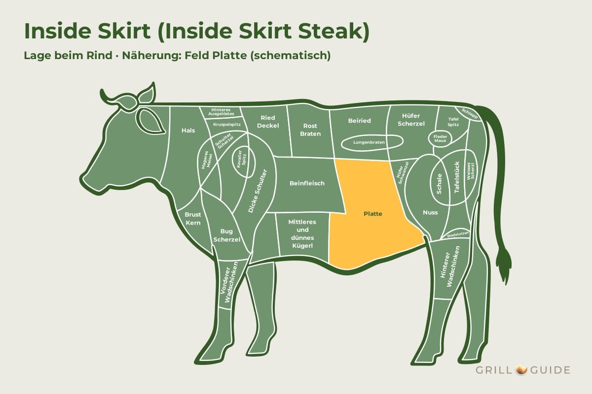 Inside Skirt (Inside Skirt Steak) - fleischteile rind inside skirt - 2 Lage des Inside Skirts beim Rind: Das Feld Platte ist als Näherung gelb markiert (schematisch)