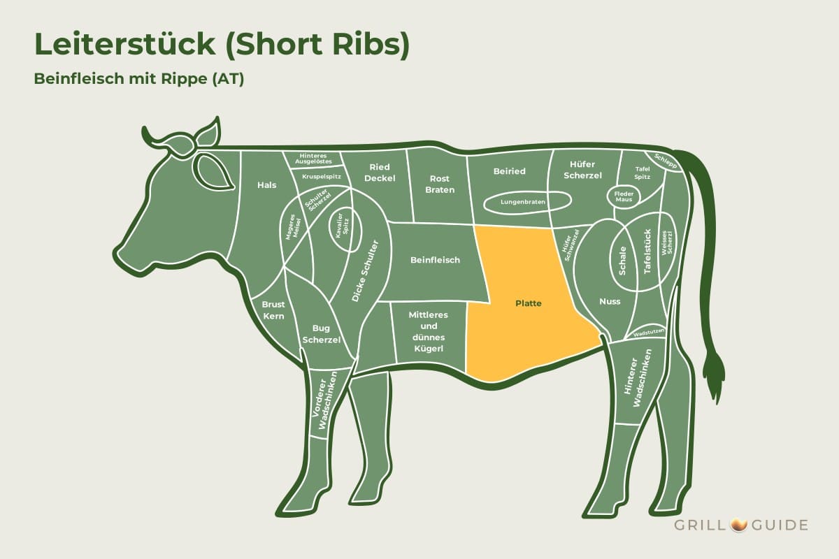 Leiterstück (Short Ribs) - fleischteile rind leiterstueck - 2 Lage des Leiterstücks beim Rind: Das Feld Platte im Vorderviertel ist gelb markiert, das Leiterstück ist der vordere Teil (schematisch)