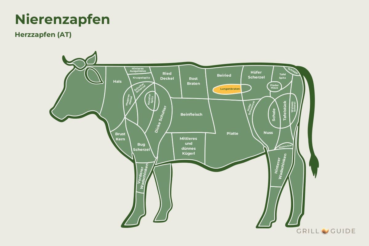 Nierenzapfen (Hanging Tender) - fleischteile rind nierenzapfen - 2 Lage des Nierenzapfens beim Rind: Das Feld Lungenbraten im Rücken ist gelb markiert, der Nierenzapfen hängt daneben (schematisch)