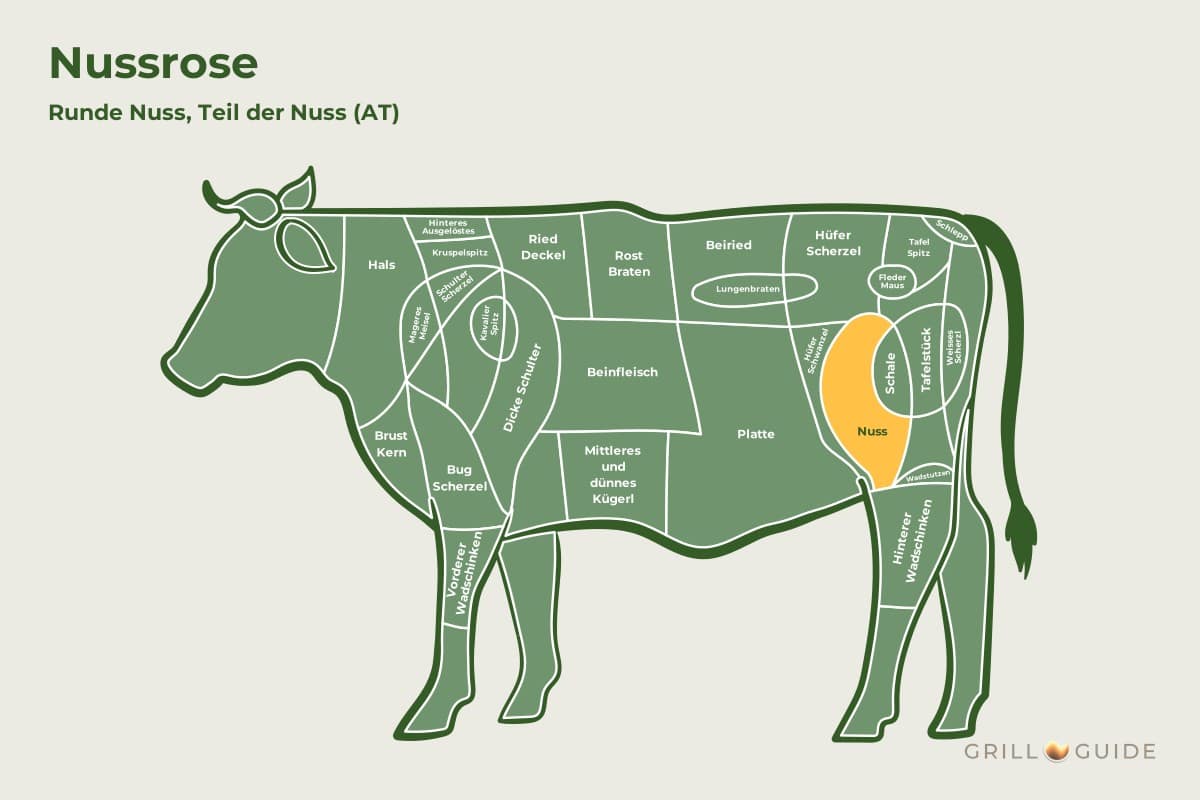 Nussrose (Runde Nuss) - fleischteile rind nussrose - 2 Lage der Nussrose beim Rind: Das Feld Nuss in der Keule ist gelb markiert (schematisch)