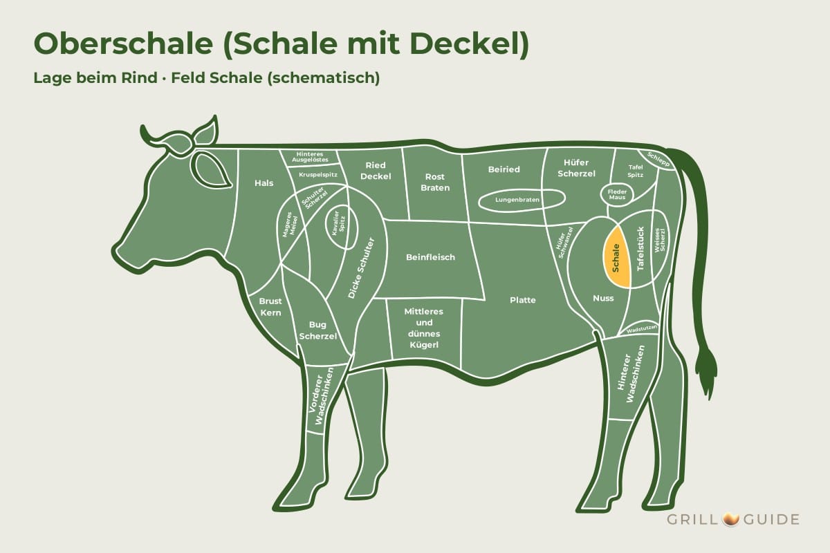 Oberschale (Schale mit Deckel) - fleischteile rind oberschale rind - 2 Lage der Oberschale mit Deckel beim Rind