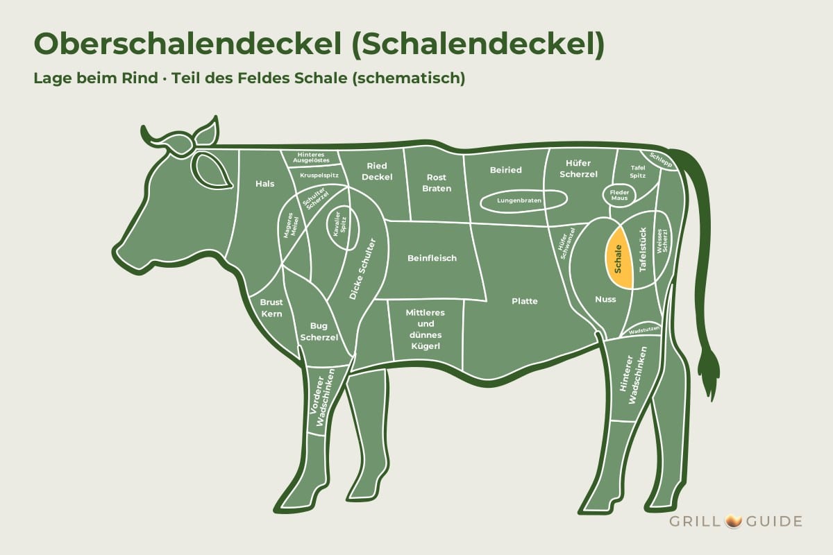 Oberschalendeckel (Schalendeckel) - fleischteile rind oberschalendeckel - 2 Lage des Oberschalendeckels beim Rind