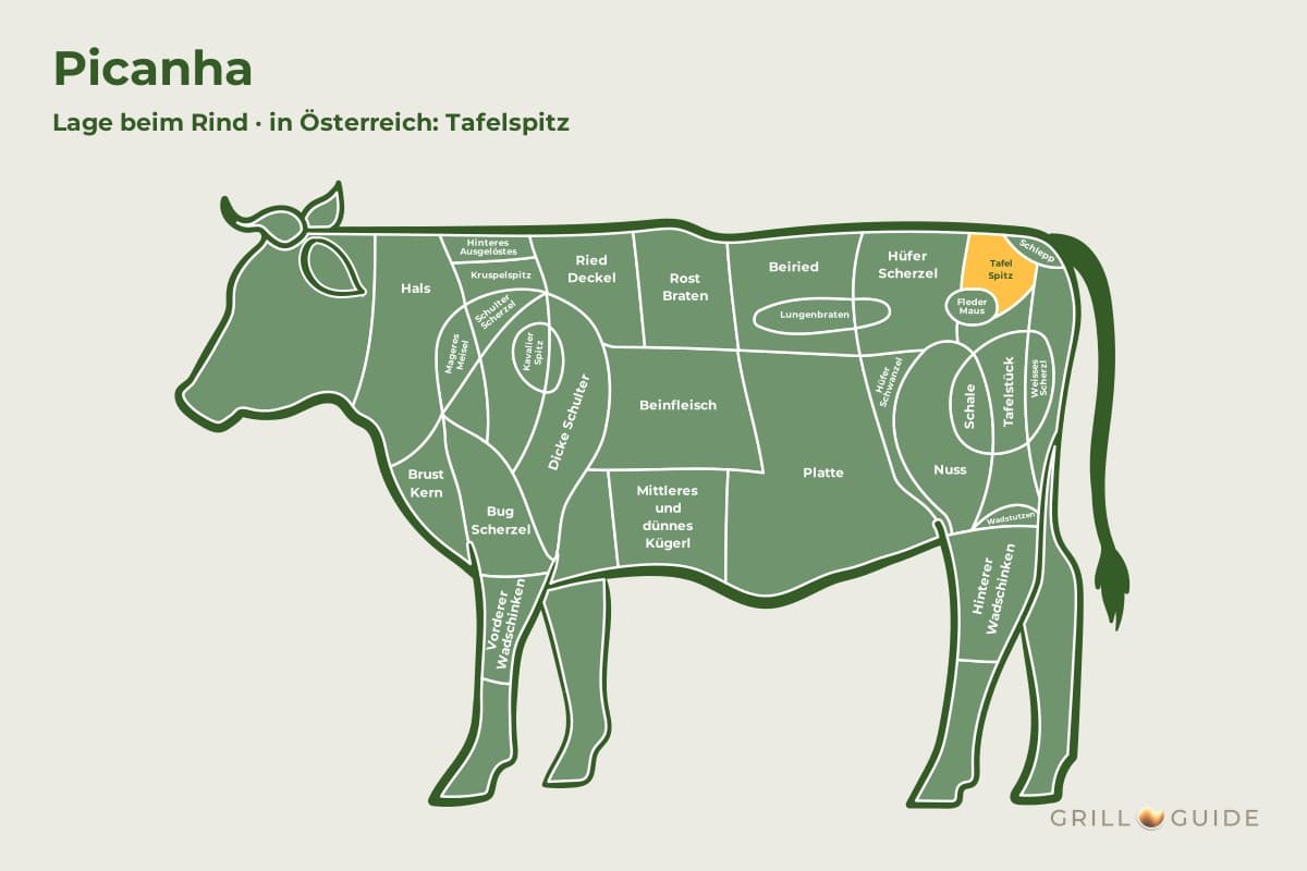 Hüftzunge - fleischteile rind picanha - 2 Lage der Hüftzunge beim Rind: Das Feld Tafel Spitz im Hinterviertel ist orange markiert (schematisch)