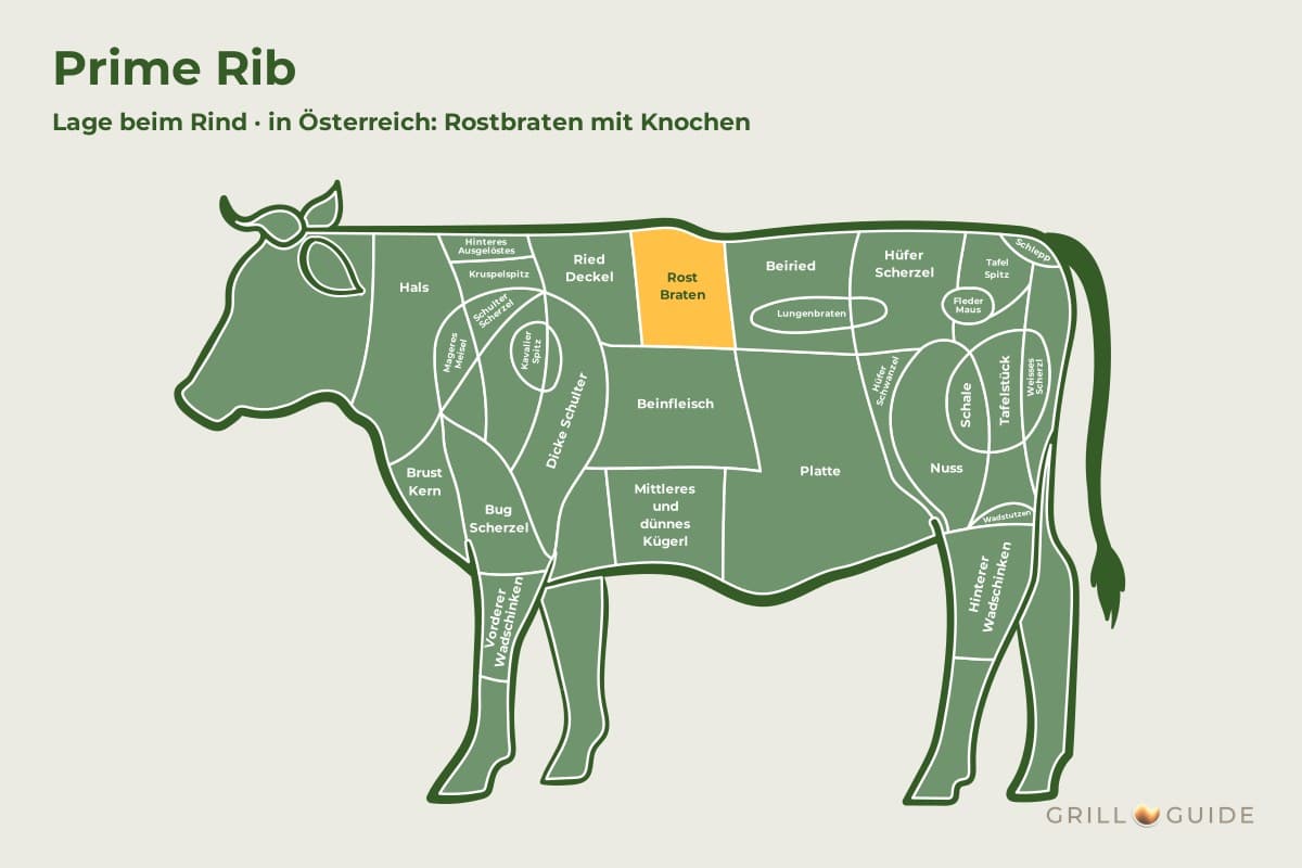 Prime Rib (Standing Rib Roast) - fleischteile rind prime rib - 2 Lage der Prime Rib beim Rind: Das Feld Rostbraten im Vorderviertel ist gelb markiert (schematisch)