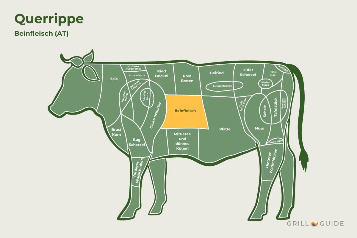 Querrippe (Zwerchspitz) - fleischteile rind querrippe - 2 Lage der Querrippe beim Rind: Das Feld Beinfleisch im Vorderviertel ist gelb markiert (schematisch)