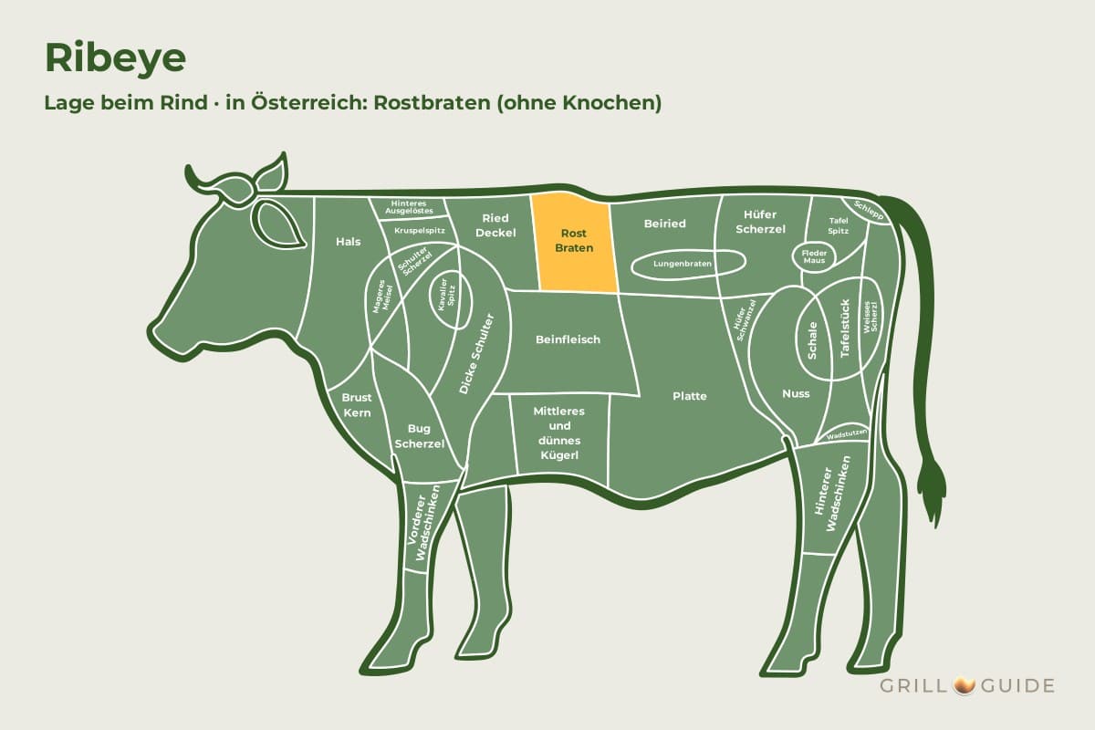 Ribeye (Entrecôte / Rostbraten) - fleischteile rind ribeye - 2 Lage des Ribeye beim Rind: Das Feld Rostbraten (Hochrippe) im Vorderviertel ist orange markiert
