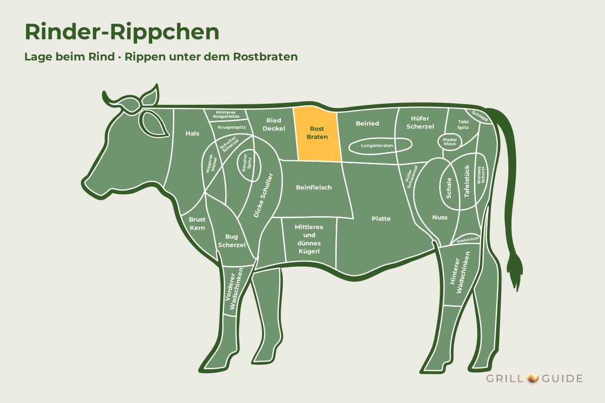 Rinder-Rippchen (Beef Back Ribs) - fleischteile rind rinder rippchen - 2 Lage der Rinder-Rippchen beim Rind: Das Feld Rost Braten im Vorderviertel ist gelb markiert, die Rippchen sind die Knochen darunter (schematisch)