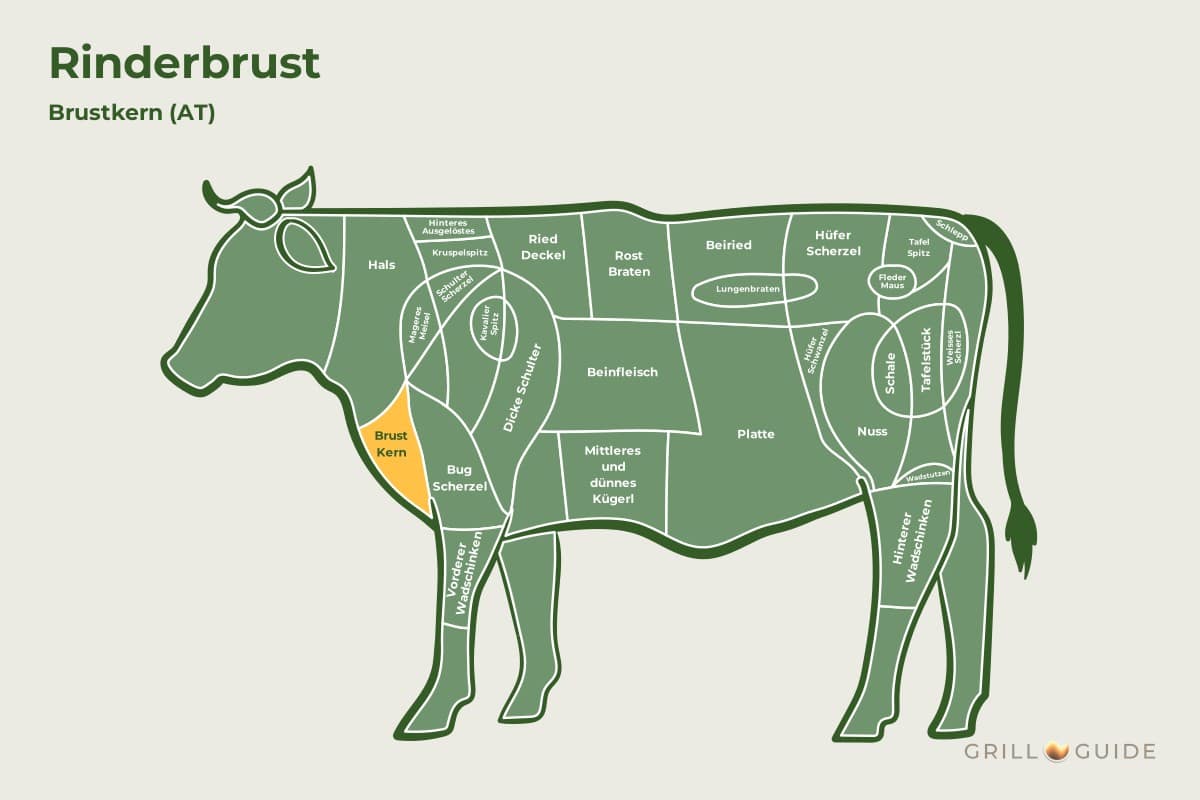 Rinderbrust (Brisket) - fleischteile rind rinderbrust - 2 Lage der Rinderbrust beim Rind: Das Feld Brust Kern im Vorderviertel ist gelb markiert (schematisch)