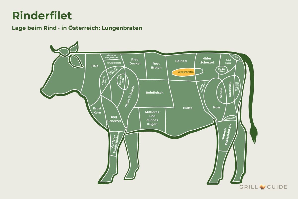 Rinderfilet (Lungenbraten) - fleischteile rind rinderfilet - 2 Lage des Rinderfilets beim Rind: Das Feld Lungenbraten unter dem Beiried ist orange markiert