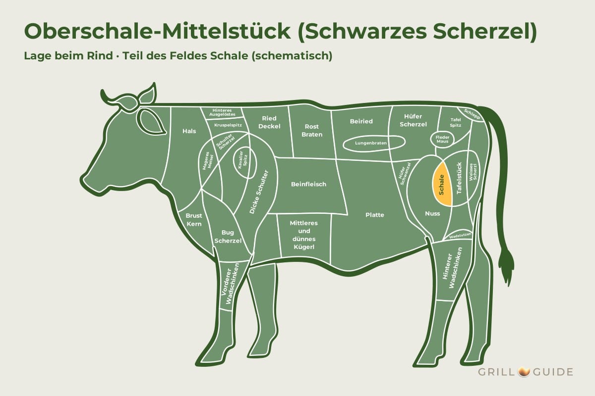 Oberschale-Mittelstück (Schwarzes Scherzel) - fleischteile rind schwarzes scherzel - 2 Lage des Schwarzen Scherzels beim Rind