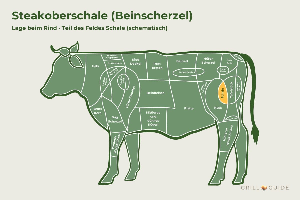 Steakoberschale (Beinscherzel) - fleischteile rind steakoberschale - 2 Lage der Steakoberschale beim Rind