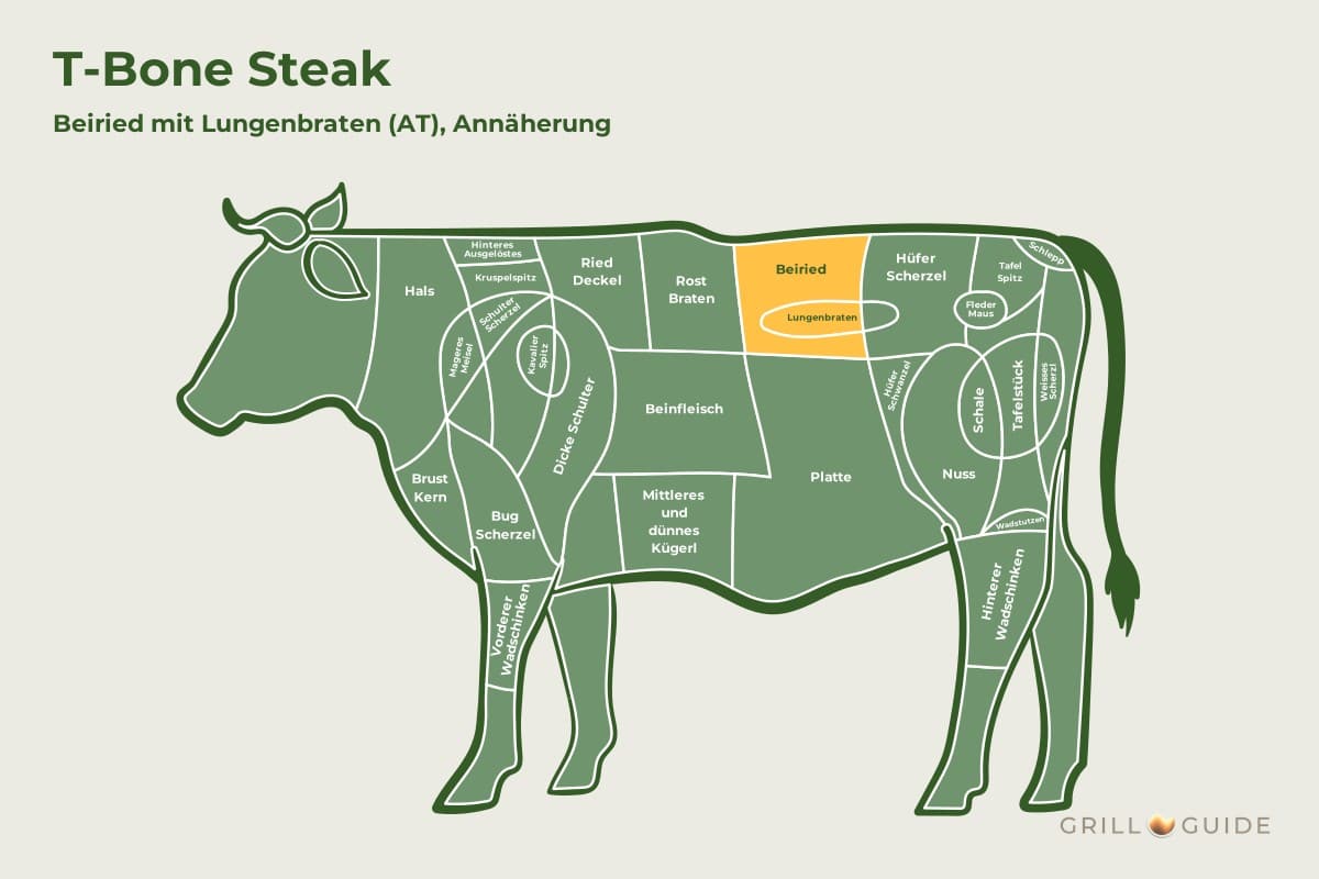 T-Bone Steak (Roastbeef mit Filet am Knochen) - fleischteile rind t bone steak - 2 Lage des T-Bone Steaks beim Rind: Die Felder Beiried und Lungenbraten im Hinterviertel sind gelb markiert (schematisch)