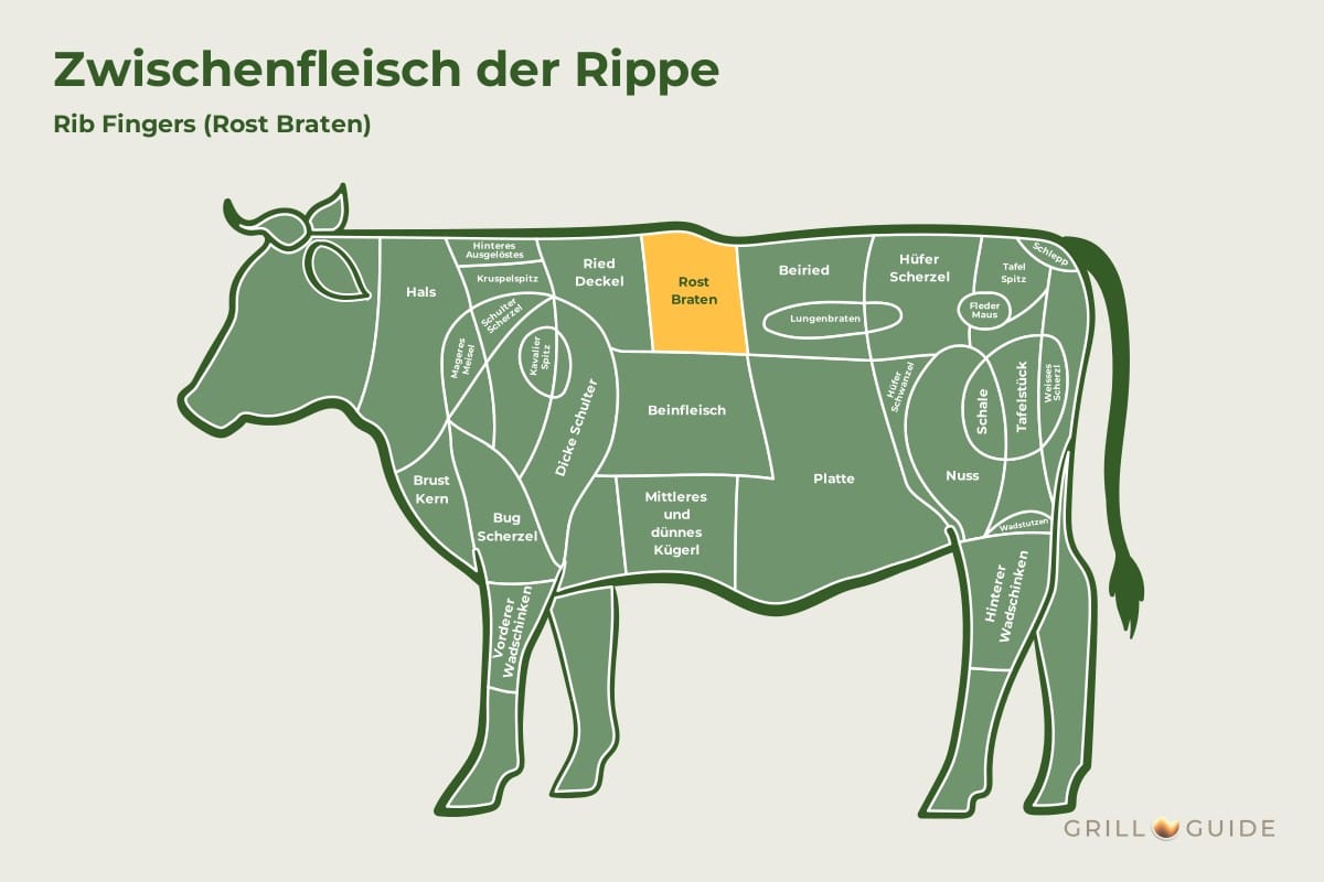Zwischenfleisch der Rippe (Rib Fingers) - fleischteile rind zwischenfleisch der rippe - 2 Lage des Zwischenfleischs der Rippe beim Rind: Das Feld Rostbraten in der Hochrippe ist gelb markiert (schematisch)