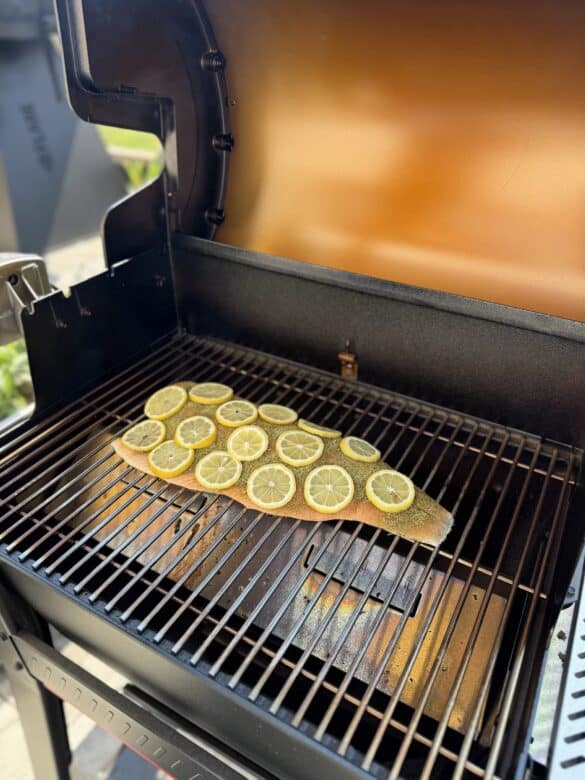 Der Weber Searwood Pelletgrill - weber searwood pelletgrill 02 - 10 Lachsplanke im Weber Searwood Pelletsmoker